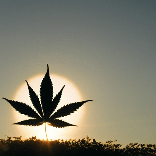 An image of a serene Delaware landscape with a calming sunset, a cannabis leaf silhouette, and a person meditating, symbolizing peace and healing for PTSD and anxiety treatment